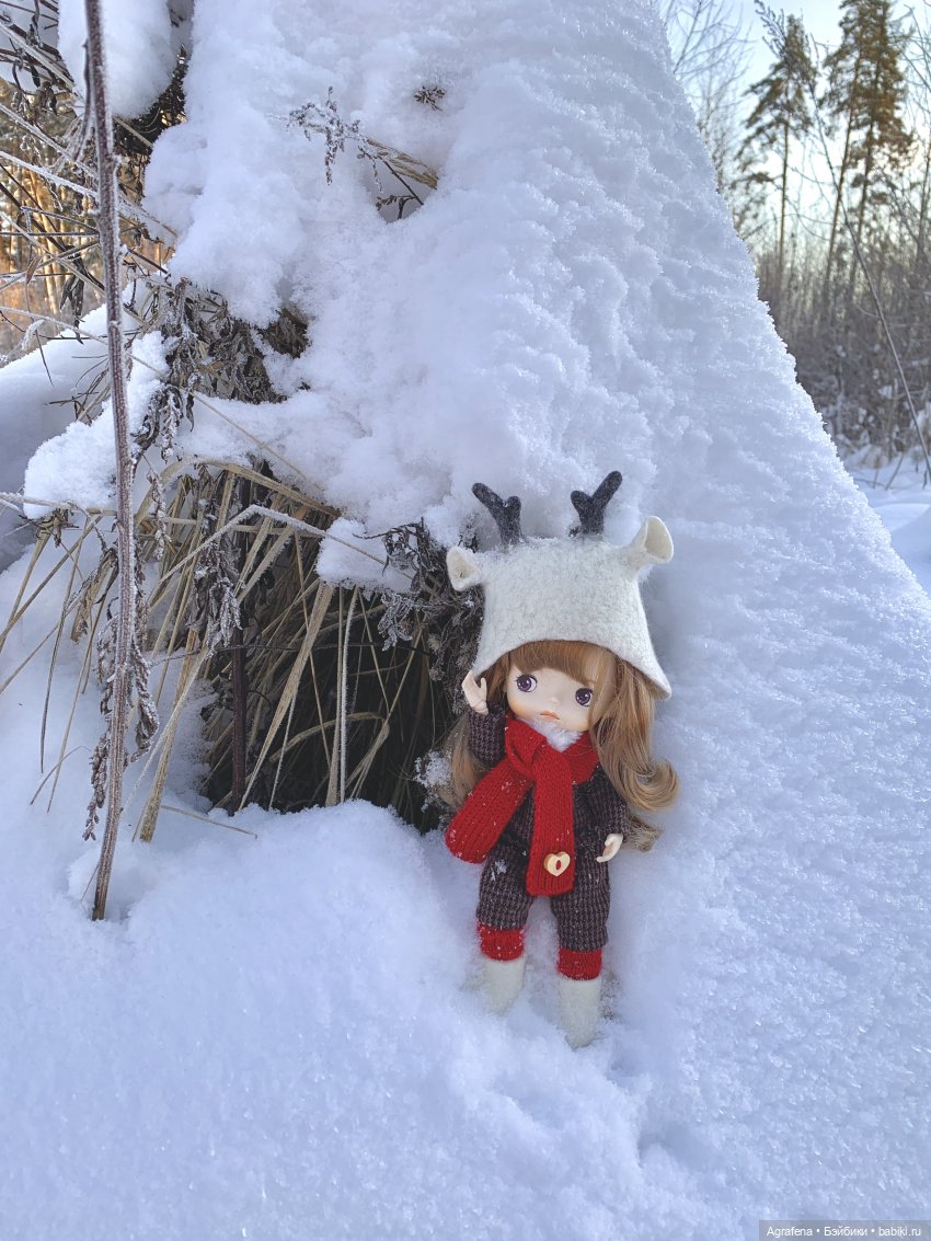 Шапочки и валенки для Xiaomi Monst