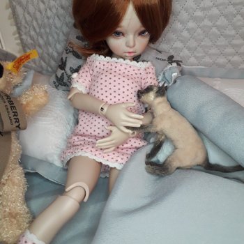 Ленивые выходные с котиками