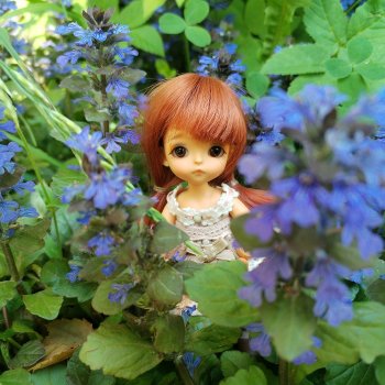 Мелочь в Сиреневом саду