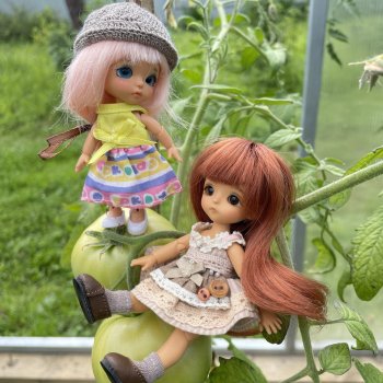 Помидорные приключения