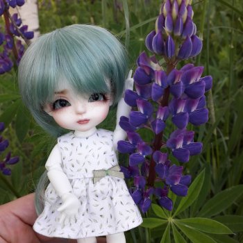 Алиса в люпинах