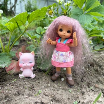 На дачу с Мышкой и котом)