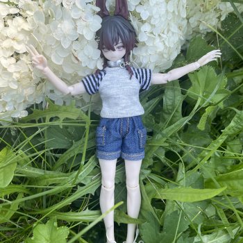 Пес в цветах как отдельный вид искусства