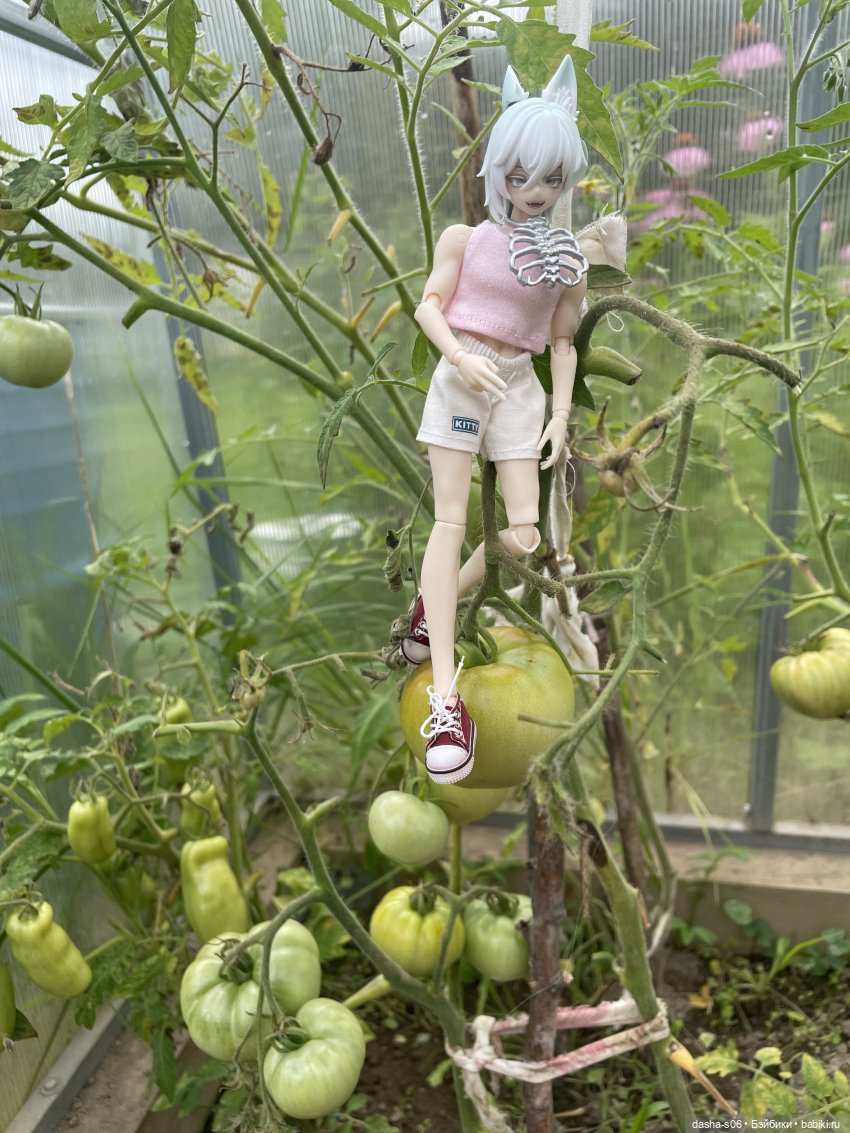 Инспекторы грядок снова в деле) (фото 3)