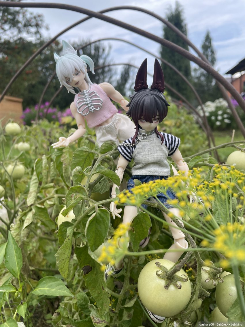 Инспекторы грядок снова в деле) (фото 5)