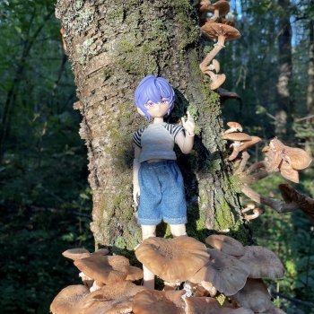 Закрываем грибной сезон)