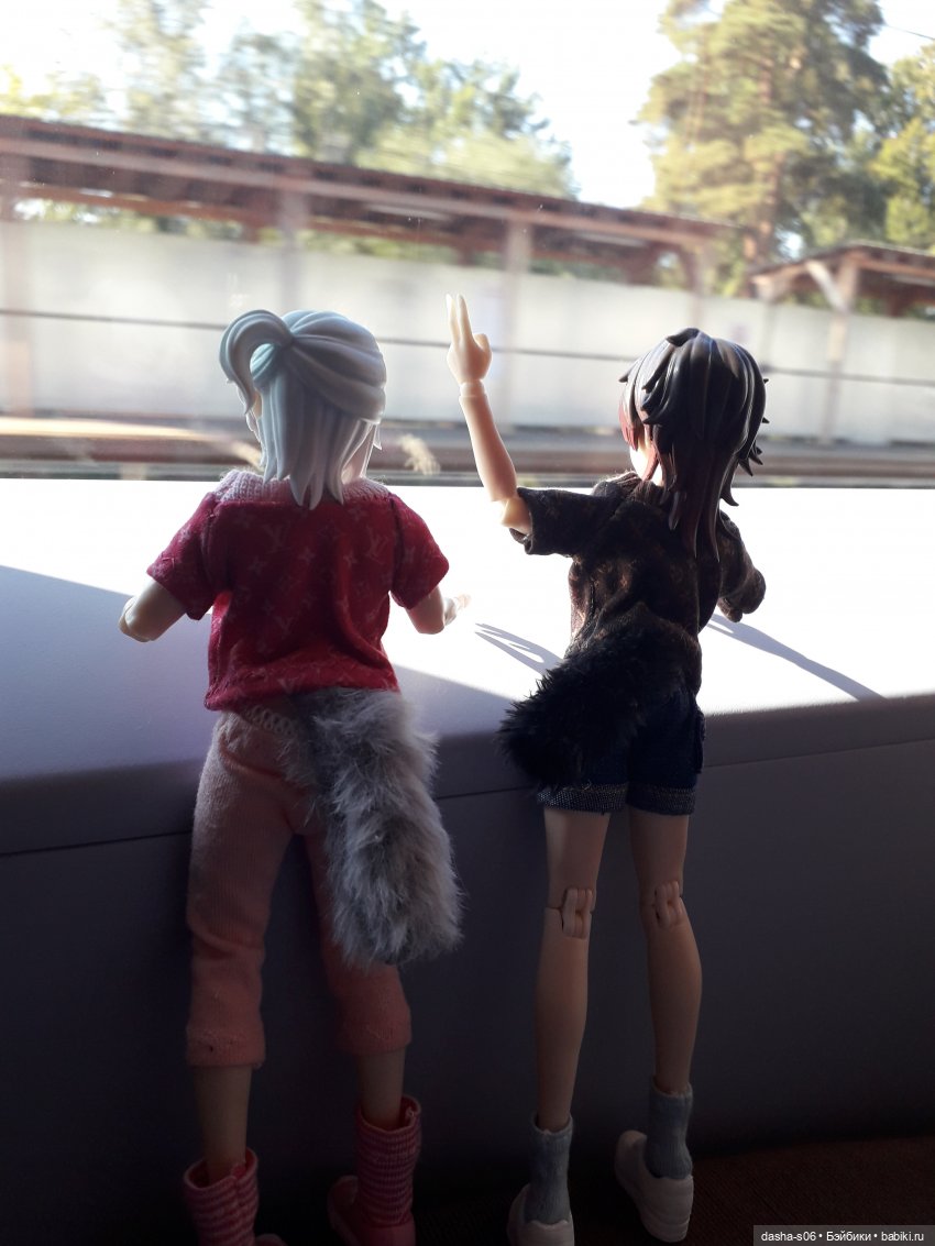 Мы едем-едем-едем в Питер) (фото 3)