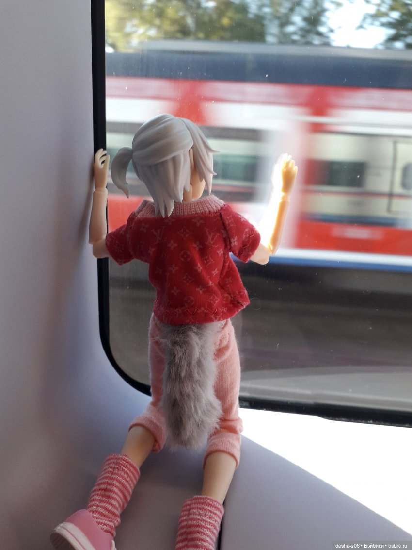 Мы едем-едем-едем в Питер)