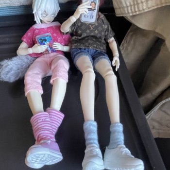 Мы едем-едем-едем в Питер)