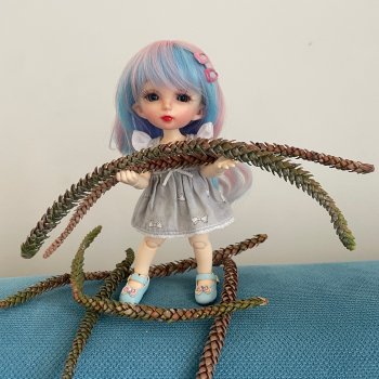 Вау, какие шишки)