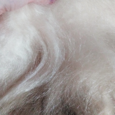 Вопрос: Как вывести запах со шкурки?