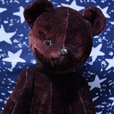 Топтыгин Михайло Потапыч и Ко