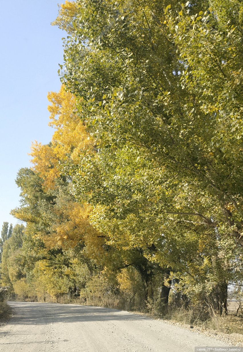 Дачные зарисовки — Разные шарнирные куклы (не БЖД): редкие