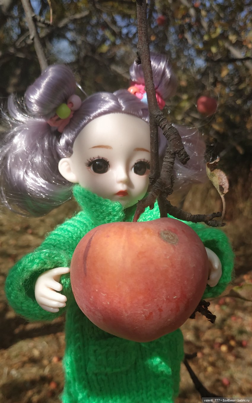 Дачные зарисовки — Разные шарнирные куклы (не БЖД): редкие (фото 8)