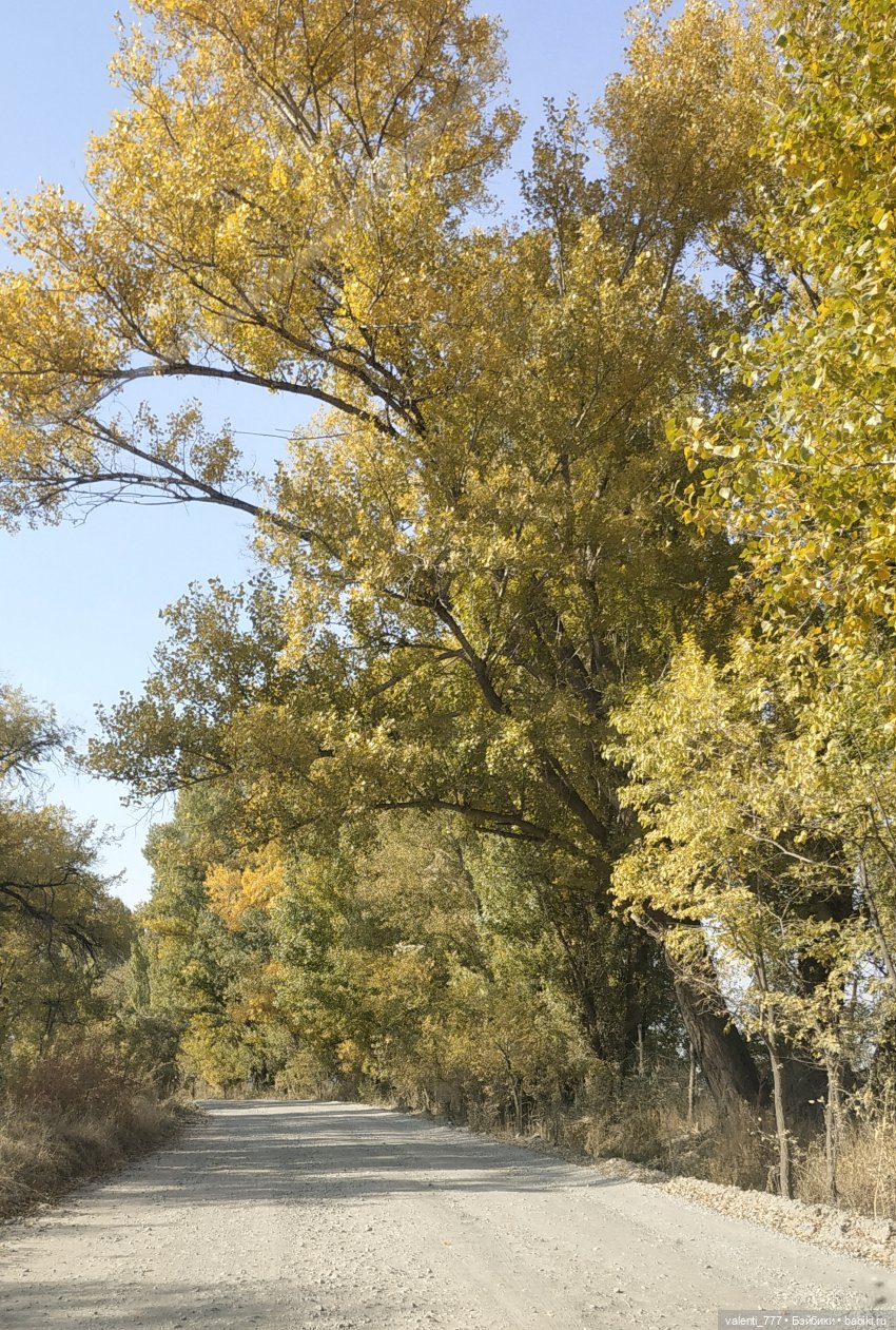 Дачные зарисовки — Разные шарнирные куклы (не БЖД): редкие