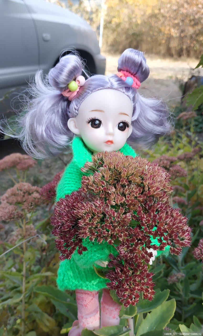 Дачные зарисовки — Разные шарнирные куклы (не БЖД): редкие