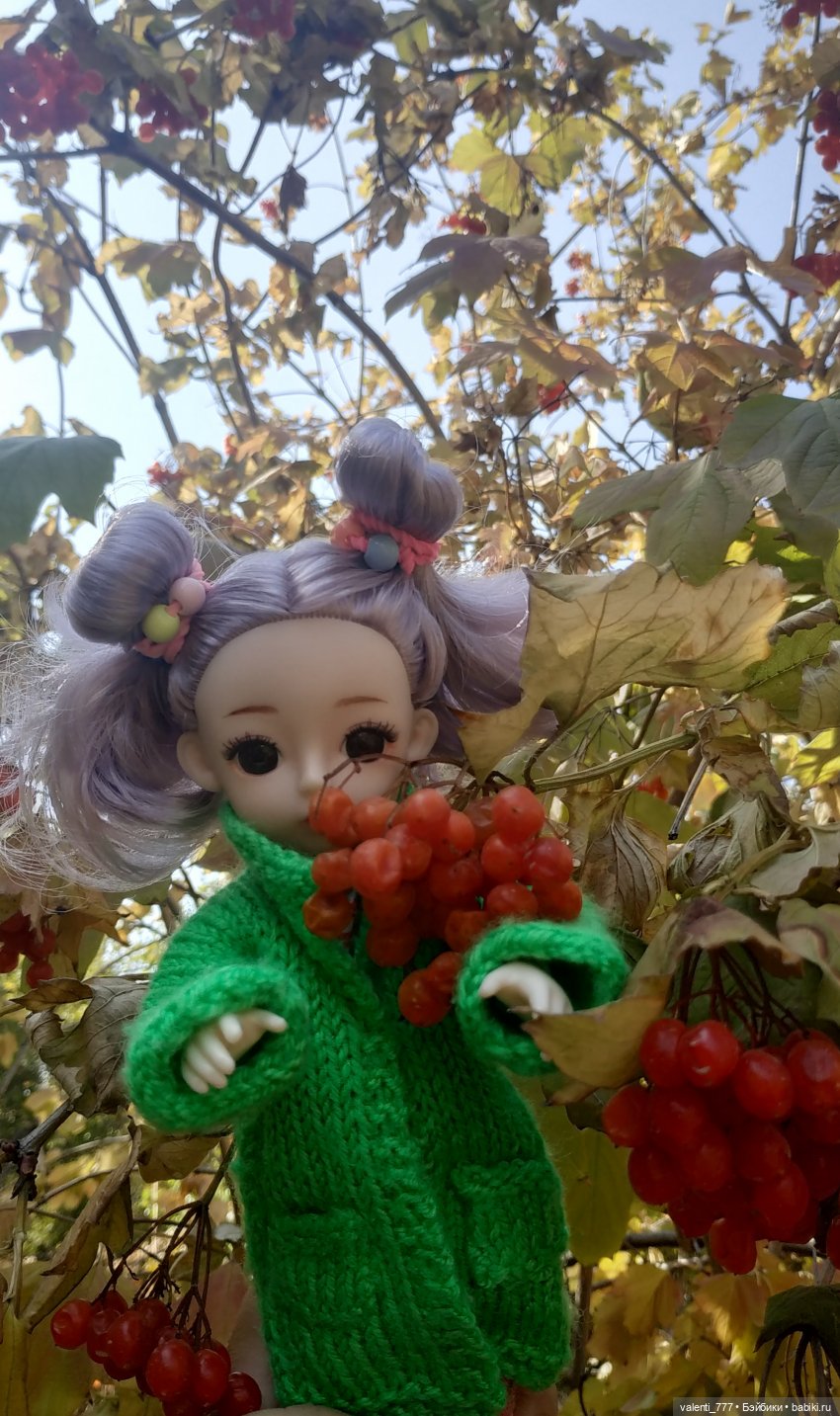 Дачные зарисовки — Разные шарнирные куклы (не БЖД): редкие (фото 4)