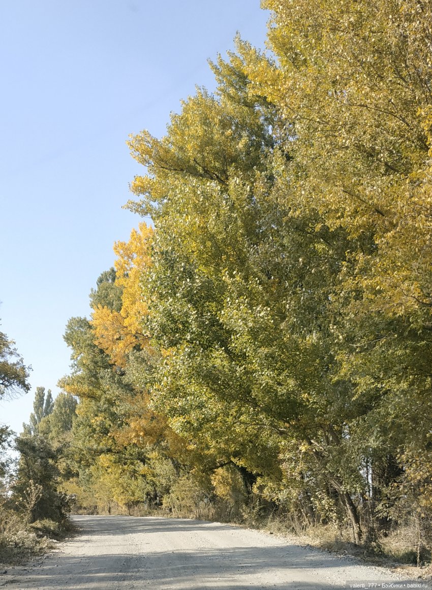 Дачные зарисовки — Разные шарнирные куклы (не БЖД): редкие