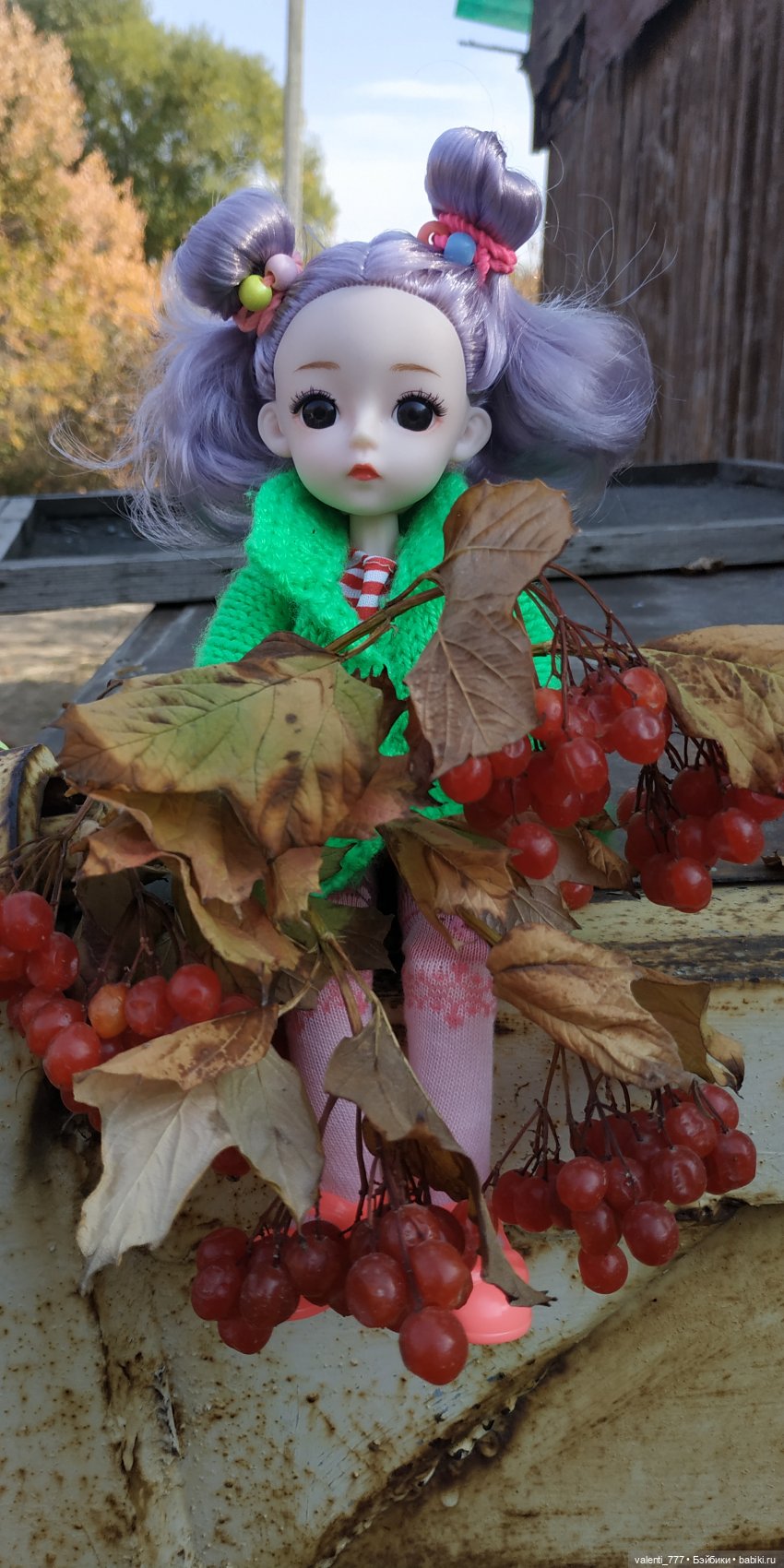 Дачные зарисовки — Разные шарнирные куклы (не БЖД): редкие (фото 7)