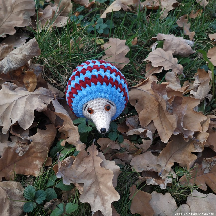 Куда приводят ноги | Бэйбики Куда приводят ноги — Болталка и разговоры обо всем: жизнь