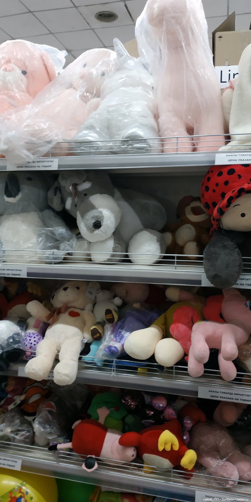 За витринным голубым стеклом...Часть 5