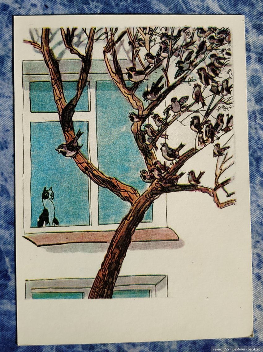 Комплекты старых открыток. Окончание (фото 6)