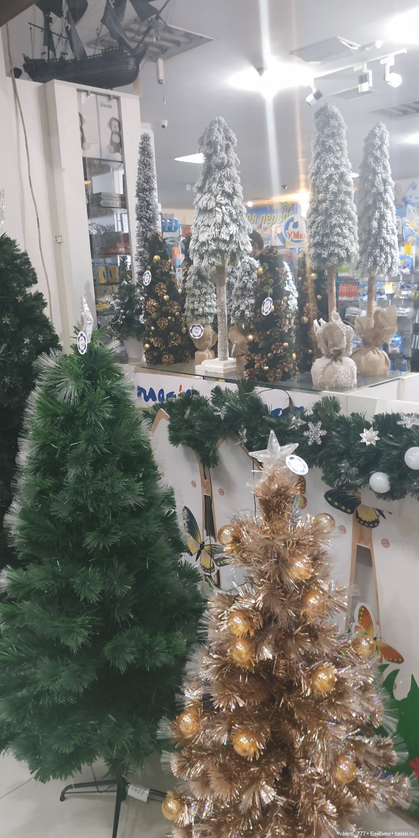 За витринным голубым стеклом...Часть 9.2