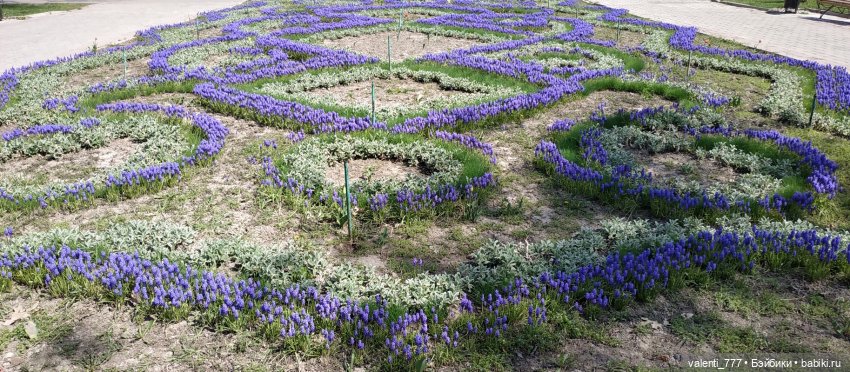 Весна — Болталка и разговоры обо всем: жизнь (фото 7)