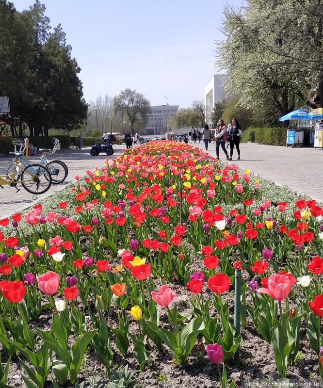 Весна — Болталка и разговоры обо всем: жизнь (фото 4)