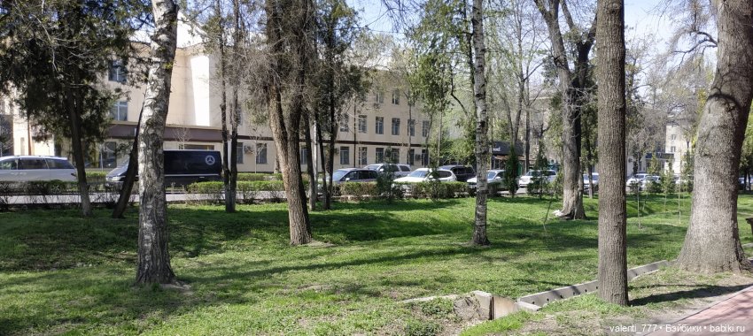 Весна — Болталка и разговоры обо всем: жизнь