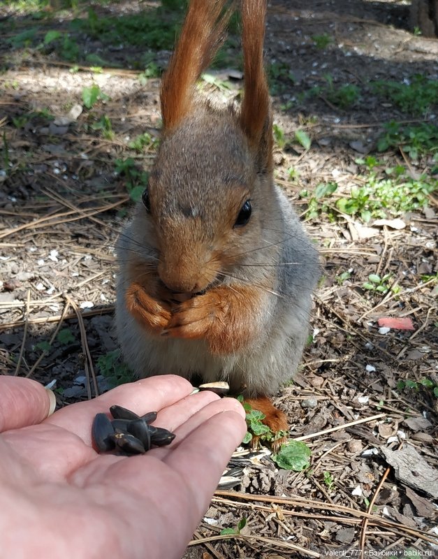 Весна — Болталка и разговоры обо всем: жизнь