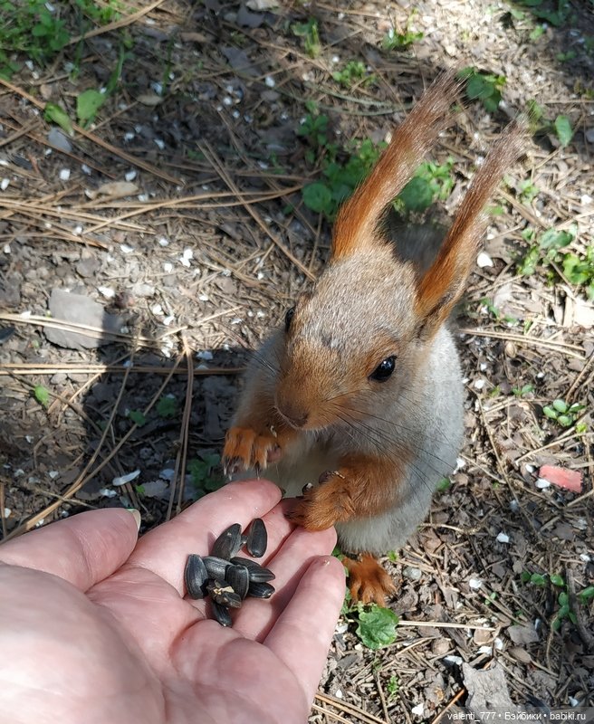 Весна — Болталка и разговоры обо всем: жизнь