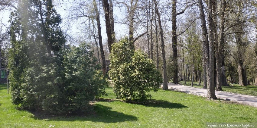 Весна — Болталка и разговоры обо всем: жизнь (фото 5)