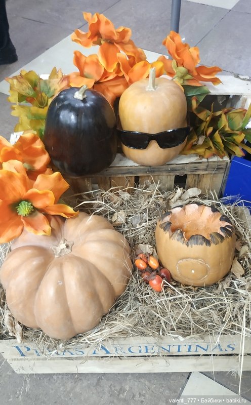 В поисках Хэллоуина — Болталка и разговоры обо всем: жизнь