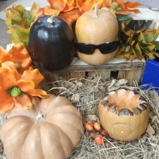 В поисках Хэллоуина