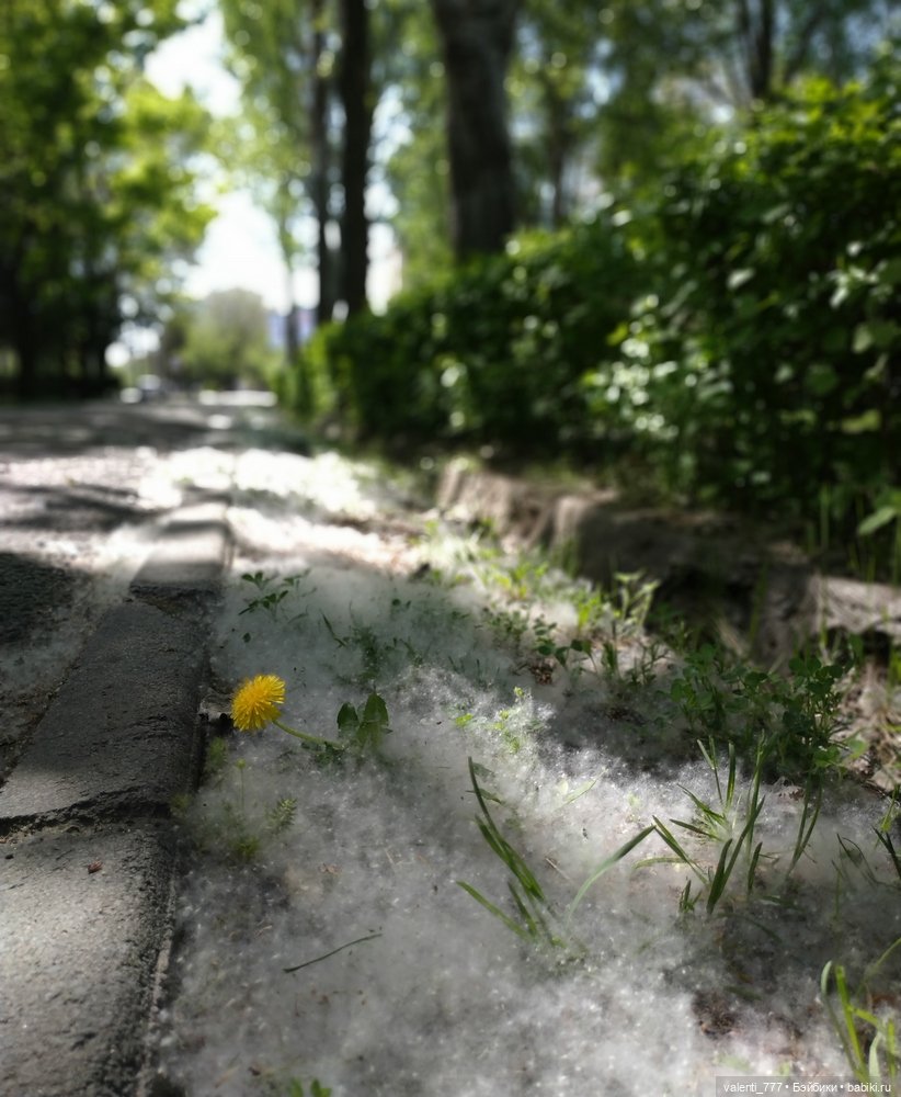 Райли — Игровые куклы разных производителей (Разное): редкие бренды