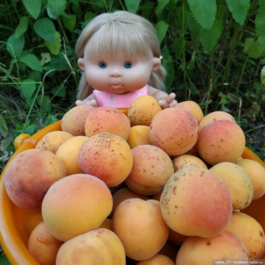 Булочка с ягодами — Куклы Nines d'Onil (Нинес): Миа (Mia) (фото 8)
