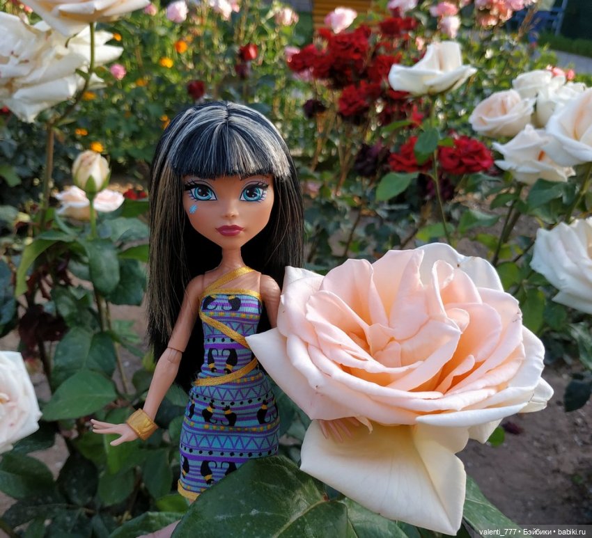 Море Клео Розы — Куклы Monster High и Ever After High: G1