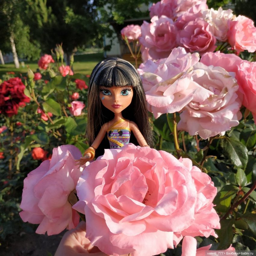 Море Клео Розы — Куклы Monster High и Ever After High: G1
