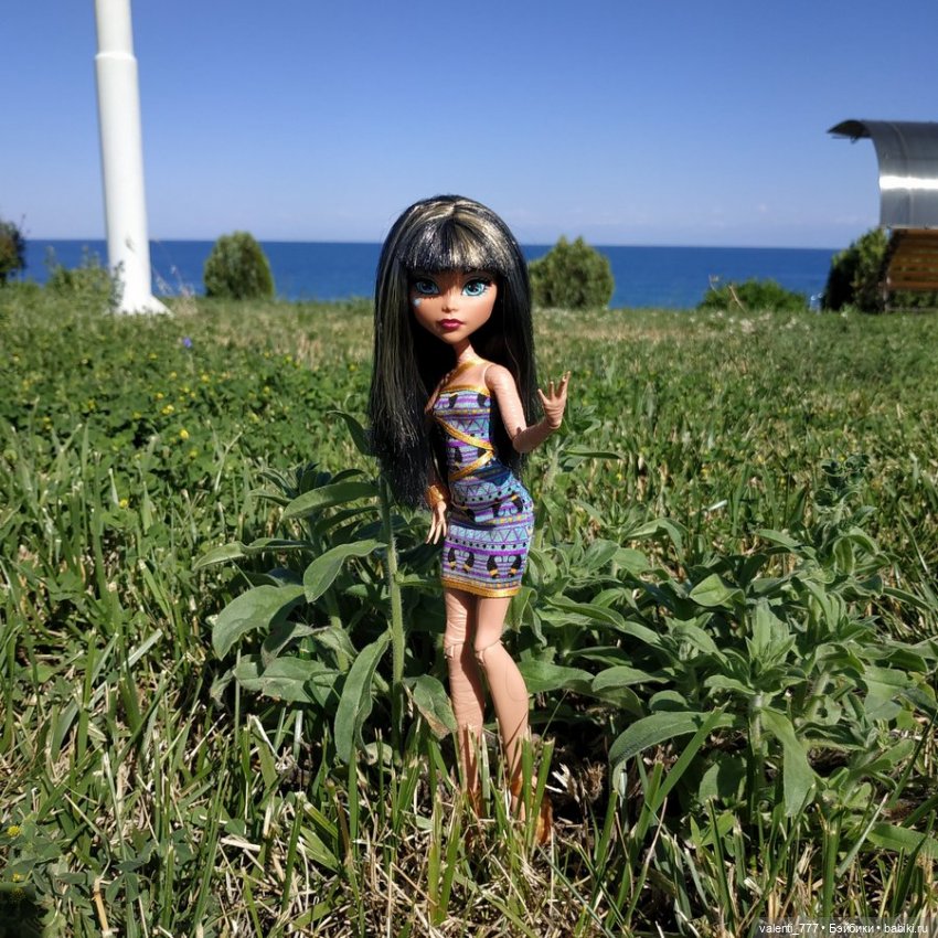 Море Клео Розы — Куклы Monster High и Ever After High: G1 (фото 7)