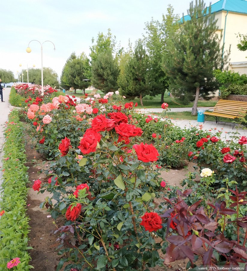 Море Клео Розы — Куклы Monster High и Ever After High: G1 (фото 2)