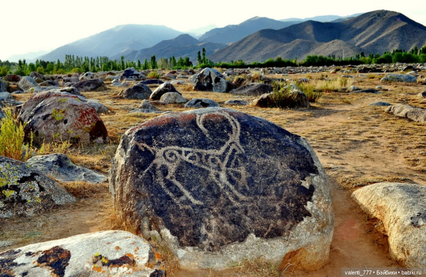 Море солнце Чолпон-Ата — Куклы Monster High и Ever After High: G1 (фото 4)