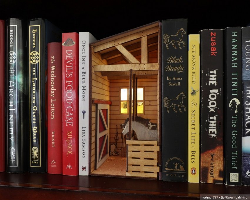 Волшебство на книжных полках