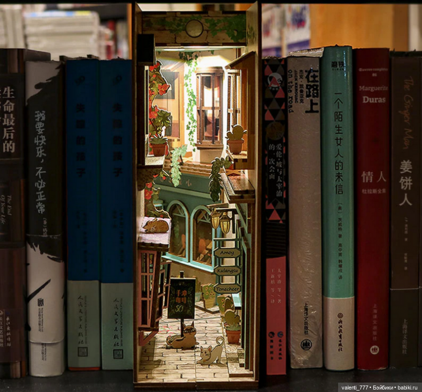 Волшебство на книжных полках (фото 7)