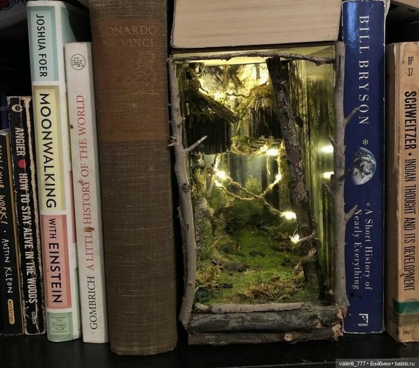 Волшебство на книжных полках