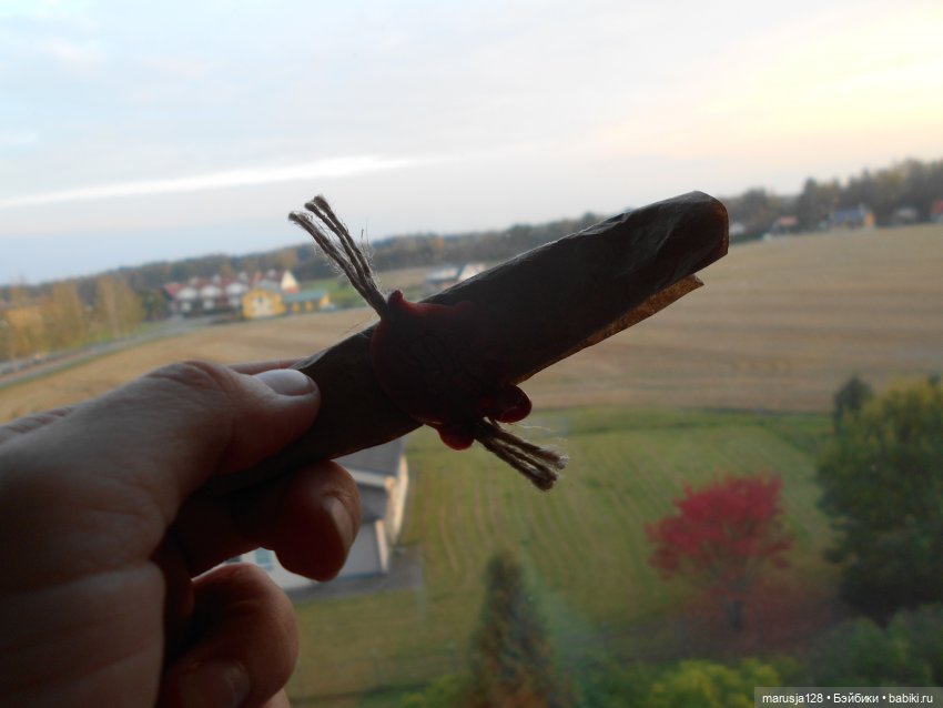 Приключения экипажа "Заря": Объявляем в розыск подругу Щелкунчика (фото 2)