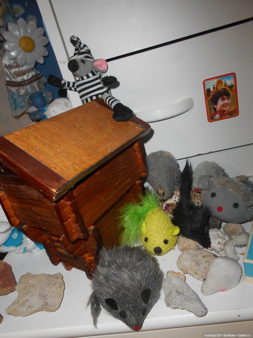 Выпуск новостей Маленького Королевства