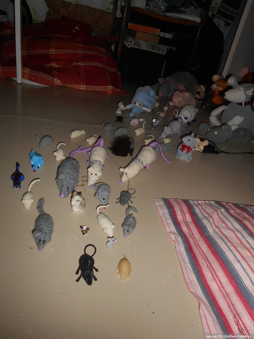 Мышиное нашествие на город Новомак: фоторепортаж с места событий. Часть первая