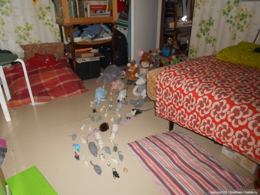 Мышиное нашествие на город Новомак: фоторепортаж с места событий. Часть первая