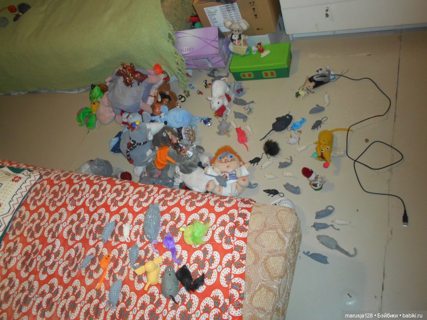 Мышиное нашествие на город Новомак: фоторепортаж с места событий. Часть первая